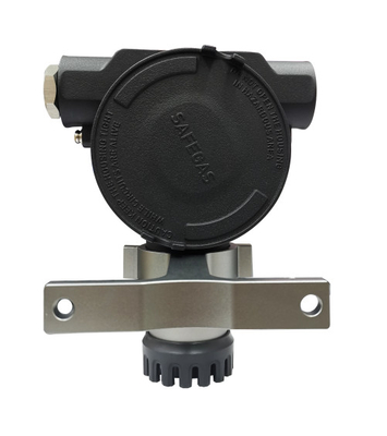Safegas IP66/IP68 H2 CL2 Multiple Gas Detector Fixed Gas Detector Wireless Data Transmission
