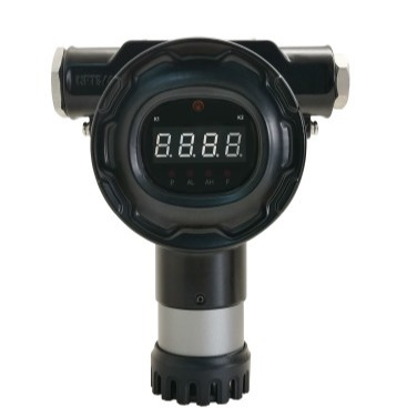 Iecex ATEX Certificated Fixed H2 Gas Detector with Sound and Light Alarm 0-1000ppm